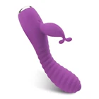 Vibration Stimulate Sex Toys G Spot Rabbit Dildo Vibrator with Heating for Woman