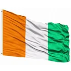 Cheap National Country Plastic Handle Polyester Custom Hand Flags