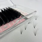 Eyelash Extensions Eyelash Extension Qeelasee Wholesale Private Label Multi-packaging Volume Individual Eyelash Extensions