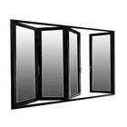 Double glazing exterior aluminium folding doors