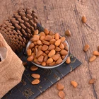 High Quality Turkish Turkish Pine Nuts Wholesale For Sale High Quality Turkish Pine Nuts