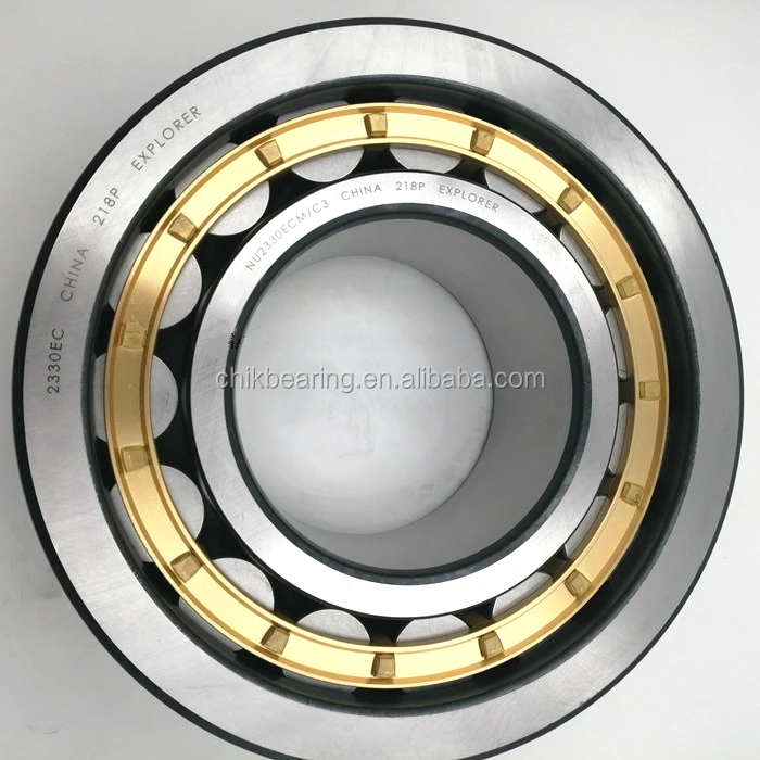 Chik Single Row Radial Cylindrical Roller Bearings N Nu Nj