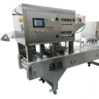 Machine Ice Block Cup Filling Sealing Machine
