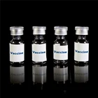 Glass Vial Cap Glassglassglass Human Empty Clear Glass Injection Vaccine Storage Vial Bottle With Cap