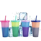 Tumbler Coffee Mug 700ml Color Changing Mug Plastic Color Changing Tumbler Cheap Plastic Tumbler With Straw