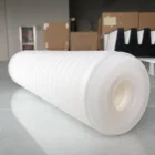 Ptfe 0.10um 0.22um 0.45um 0.65um 1.2umマイクロホール折りたたみフィルターカートリッジプリーツフィルターppカートリッジ