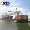 International Logistics Companies Ocean Shipping Service Sea Freight Forwarder In China To USA