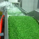 Frozen Green Peas Frozengreen Hot Selling Wholesale IQF Frozen Green Peas