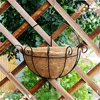 /product-detail/cheap-price-wall-mounted-hanging-basket-with-coco-liner-62422452486.html