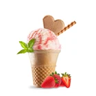 halal ice cream raw powder mix food ingredient manufacturer