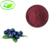 /product-detail/factory-supply-food-additives-acai-berry-extract-powder-62408122286.html