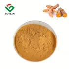 Turmeric Extract Curcumin Water Soluble Powder 95%~98% With Best Price