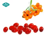 Halal Omega 3 6 7 9 Sea Buckthorn Oil Capsules Vegan Softgel