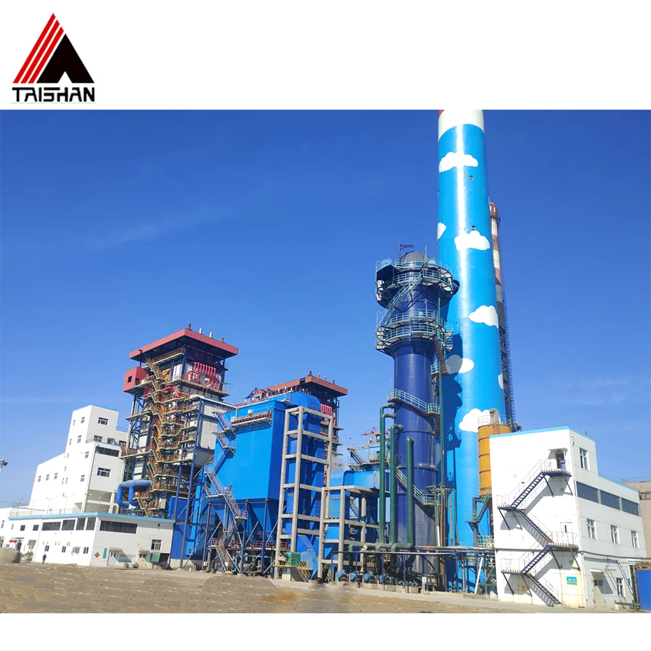 Steam Boiler, ASME, Natural Circulation - detail 54