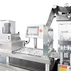 Machine Dpp-250 Blister Packing Machine DPP-250 Automatic Tablet Blister Packing Machine