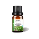 Oil Natural Rosemary Oil Natural Plant Extract