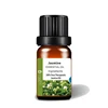 Aroma therapy essential oil perfume oil extract flower jasmine