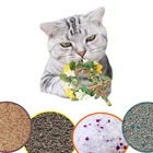 Eco-friendly Silica Gel Cat Litter 25kg Silica Gel Waterproof Biodegradable Oem Cat Litter Bentonite Clumping