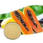 100% Natural Fruit Powder Pawpaw Powder Instant Organic Dry Papaya Powder bulk