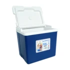 High Quality 10Liter Picnic Mini Car Cooler Box For Fishing and Delivery