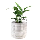 Ceramic Pots Ceramic Pot Design Wholesale Home Hotel Coffee Bar Decor Craved Ceramic Desktop Planters Pots With Holes