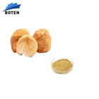 organic herbal mushroom hericium erinaceus lions mane extract powder