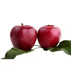 Delicious Fresh Fruit Apple Fresh Fuji Apple