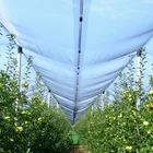 Anti Hail Nets Wholesale Supplier Anti Hail Nets