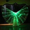 /product-detail/hot-selling-belly-dance-fairy-wings-for-dancing-oem-lady-s-cape-led-lights-butterfly-wings-costume-62240885018.html