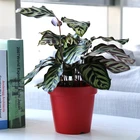 Pot Art Mini Flower Pot Planter Molds For Sale Concrete Art Planter Ornamental Flowerpot