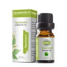 Spearmint Oil 2020 Hot Selling Product High Quality Top Grade Spearmint Essential Oil