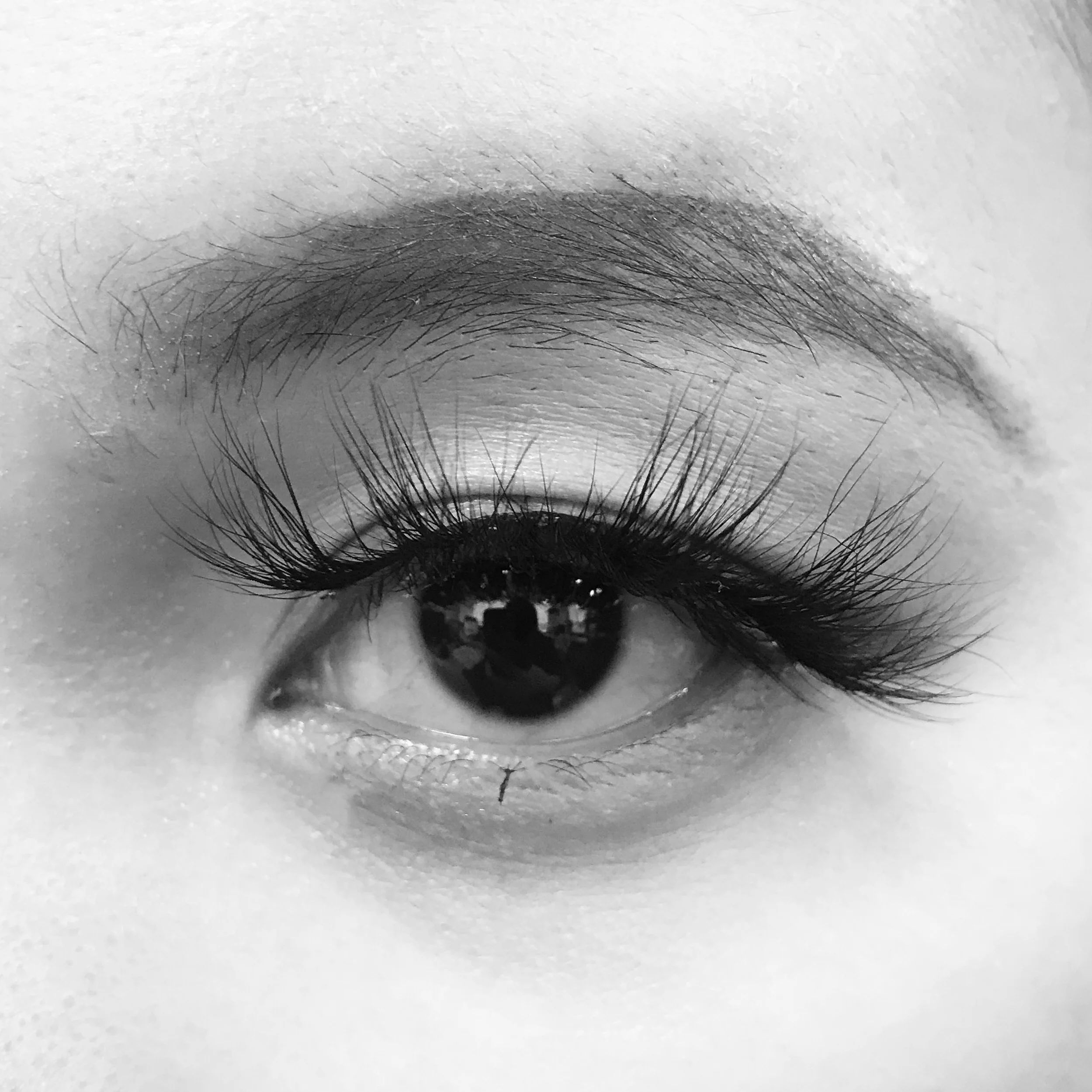 wholesale 5d mink eyelashes natural real siberian mink with
