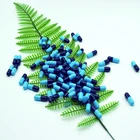 medicinal capsule gel capsule empty capsule size 0