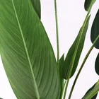 Indoor Fake Bird of Paradise Decoration Plant Plastic Traveler Artificial Banana Tree MC-41012LY