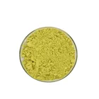 European Stocks/Quercetin Powder 95%/Quercetin Price