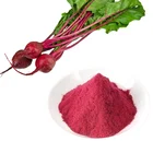 Factory supply natural food additives beet root extract powder