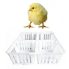 /product-detail/4-grills-baby-chick-transport-cage-all-colors-transport-box-big-plastic-live-chicken-transport-crate-62355727209.html