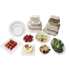 Disposable Plates Disposable Plates Biodegradable Disposable Compostable Sugarcane Bagasse Plates