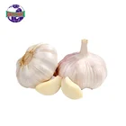 Farm planting carefully selected high nutritional value white garlic price