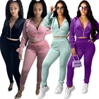 Clothing 2020 Autumn Hot Sale Solid Color Women Tracksuit Set Hooded Women'S Autumn Two-Piece Set Clothing