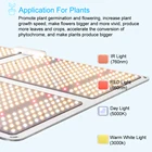 Panel Led Grow Light Led Spider SF4000 Samsung Lm301b Quantum Panel Led Grow Light For Indoor Garden