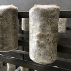 Raw Oyster Fresh Oyster Mushroom Spawn Grow Bags 1Kg Price