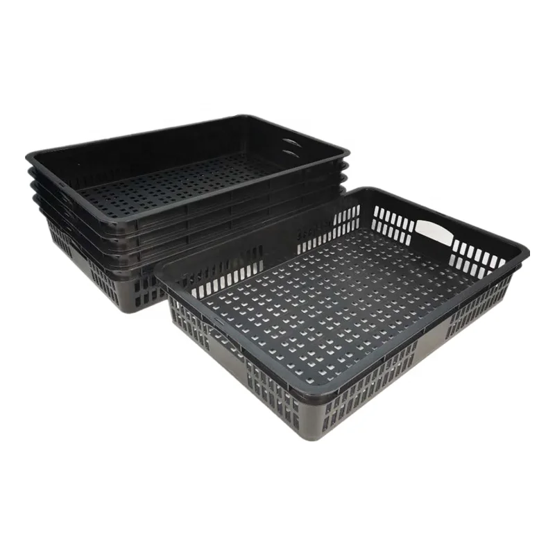 High Quality Cheap 20L PP Plastic Moving Vegetable Crates Manufacturing details