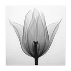 Simple wall decor modern painting black and white flower canvas picture