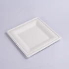 Food Biodegradable Disposable Bagasse Square Plate