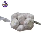 Organic wholesale better quality high nutritional value garlic price in china