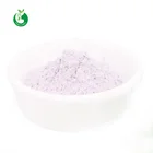 Taro Wholesale Organic Pure 100% Natural Taro Powder