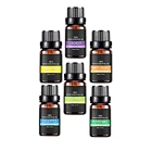 6pack 10ml Aromatherapy Essential Oils Gift Set 100% Pure Diffuser Oils Therapeutic Grade Oils Kit