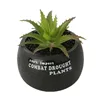 /product-detail/varnish-cute-sunny-girl-mini-succulent-ceramic-plant-pot-terracotta-flower-pot-plant-pot-garden-62333731586.html
