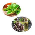 HONGDA Supply Oregano Oil 90% Carvacrol Oregano Essential Oil